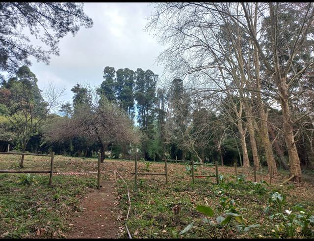8,019M² VACANT LAND SOLD IN WINTERSKLOOF